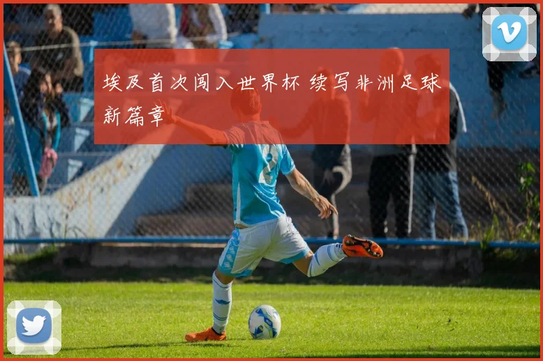 埃及首次闯入世界杯 续写非洲足球新篇章