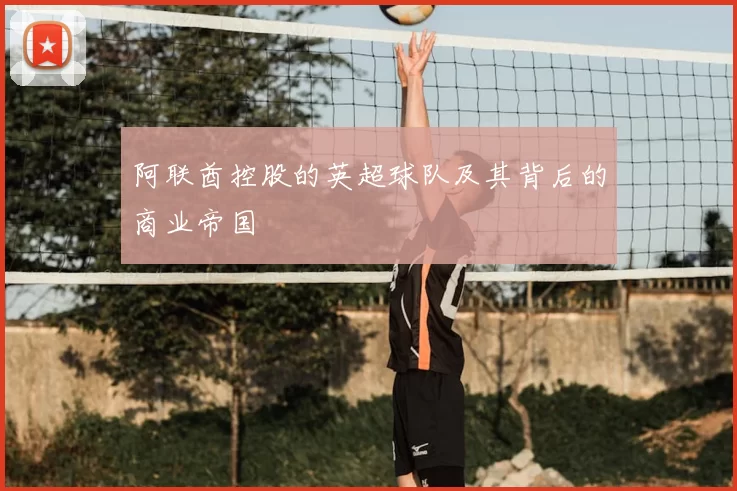 阿联酋控股的英超球队及其背后的商业帝国