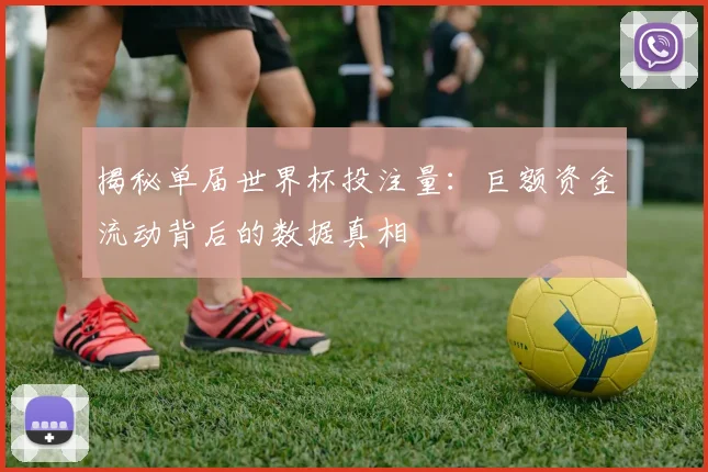 揭秘单届世界杯投注量：巨额资金流动背后的数据真相