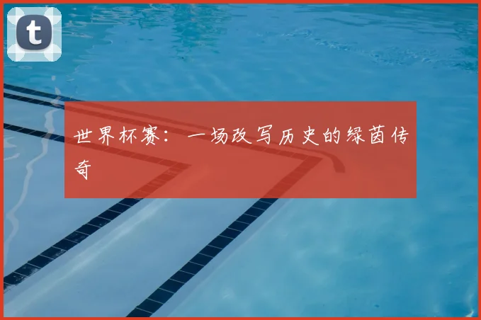 世界杯赛:一场改写历史的绿茵传奇