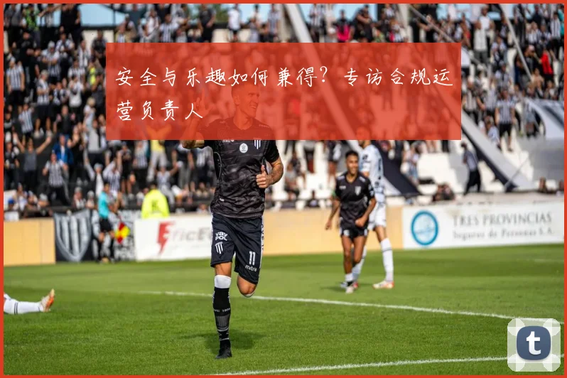 安全与乐趣如何兼得？专访合规运营负责人
