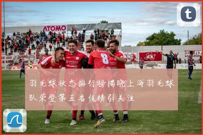 羽毛球状态排行榜揭晓上海羽毛球队荣登第五名佳绩引关注