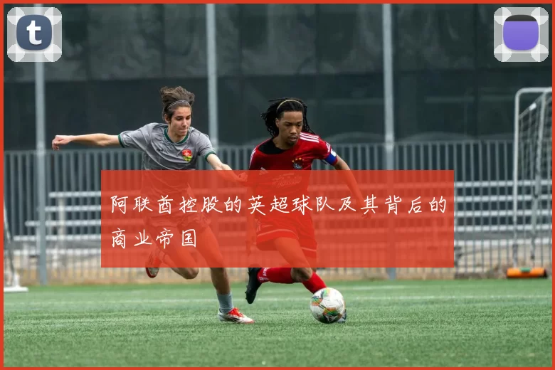 阿联酋控股的英超球队及其背后的商业帝国