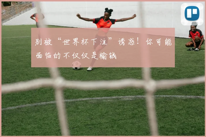 别被“世界杯下注”诱惑!你可能面临的不仅仅是输钱