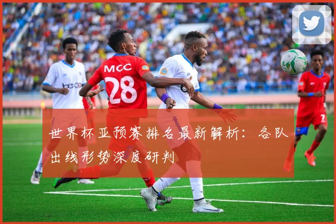 世界杯亚预赛排名最新解析:各队出线形势深度研判