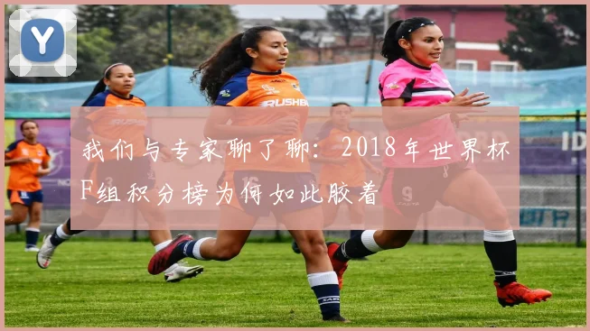 我们与专家聊了聊：2018年世界杯F组积分榜为何如此胶着
